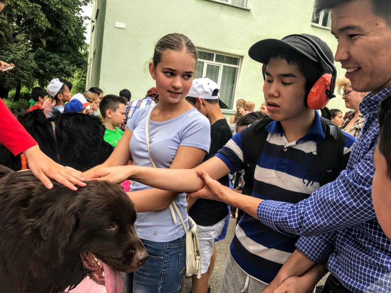 Фотография № 224989