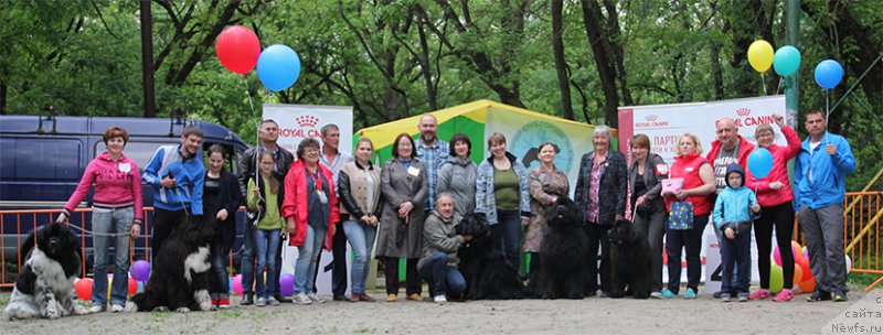 Фотография № 225007