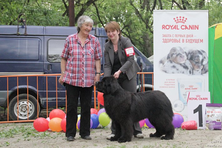 Фотография № 225013