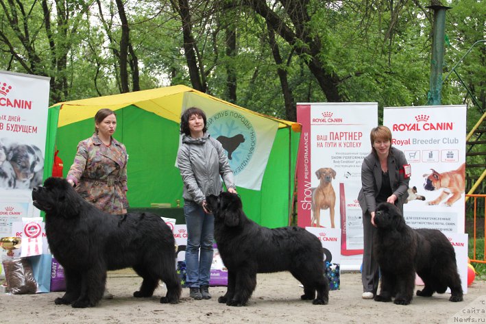 Фотография № 225026