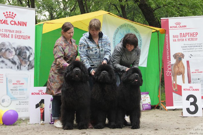 Фотография № 225027