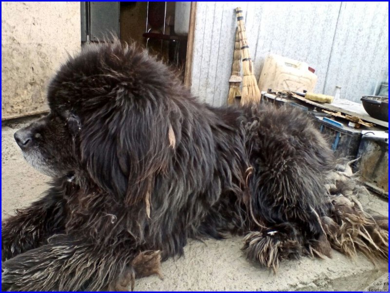 Фотография № 225031