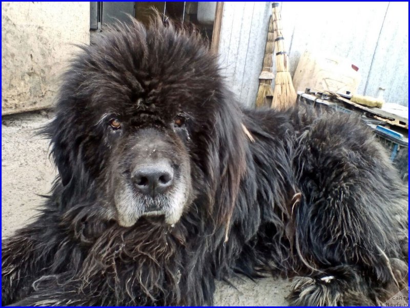 Фотография № 225033