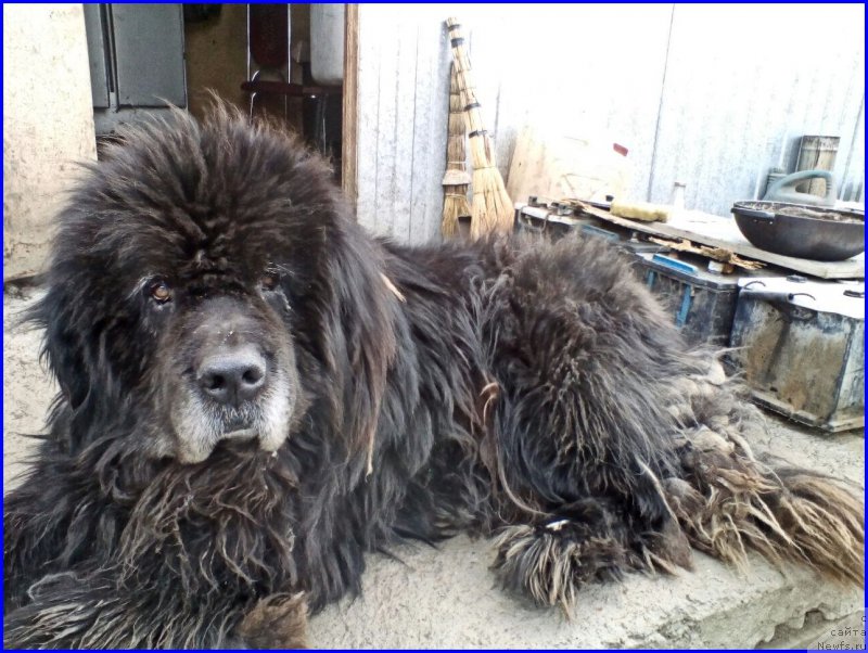 Фотография № 225034