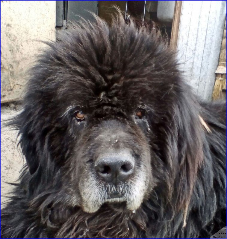 Фотография № 225035