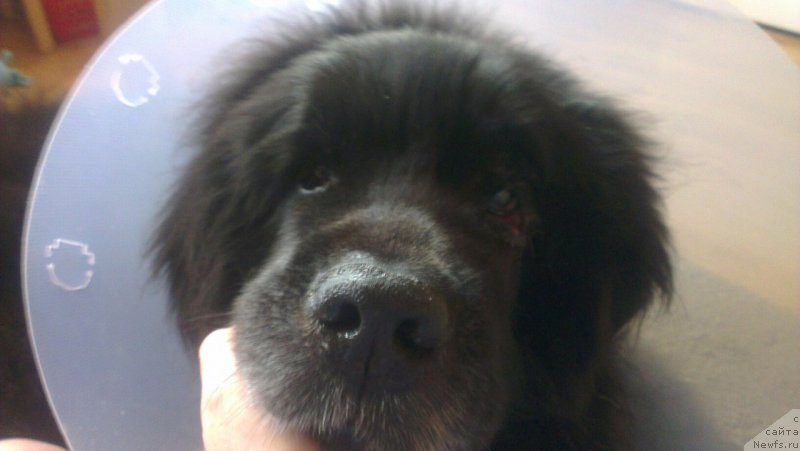 Фотография № 225037