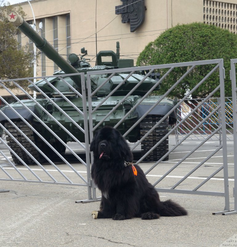 Фотография № 225043