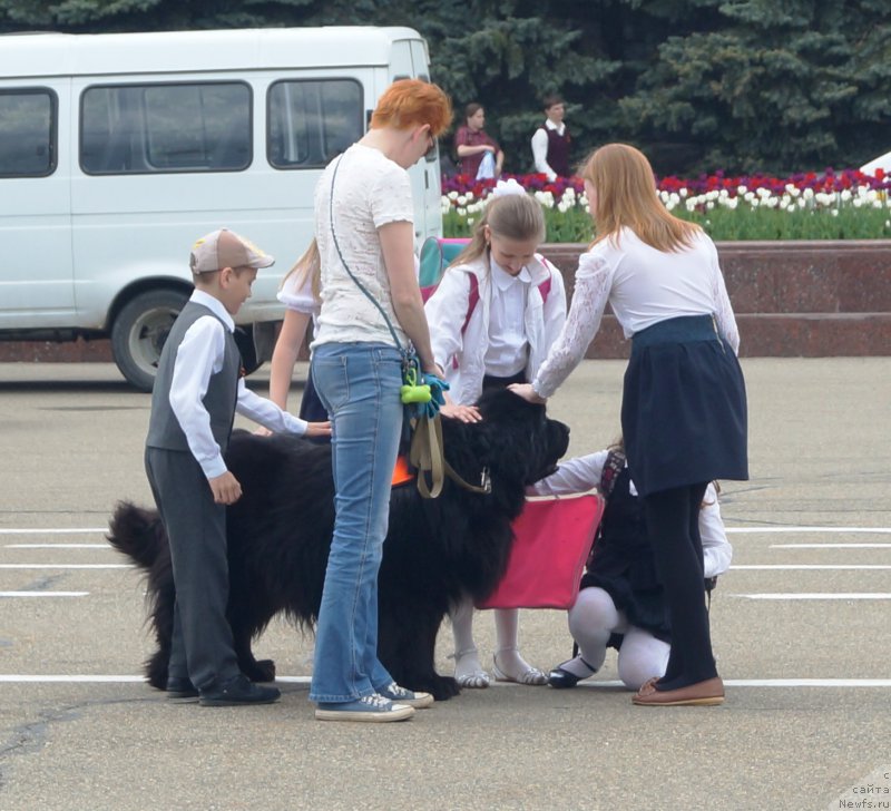 Фотография № 225045