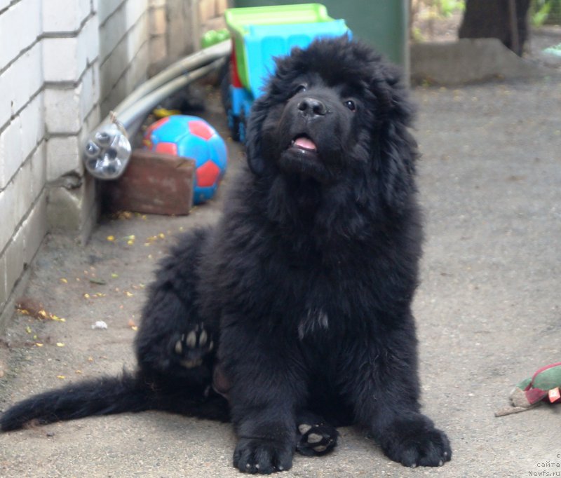 Фотография № 225047