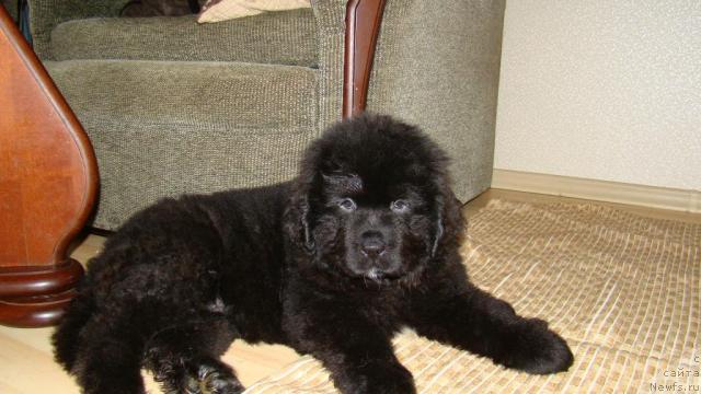 Фотография № 22505