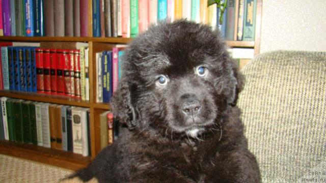 Фотография № 22506