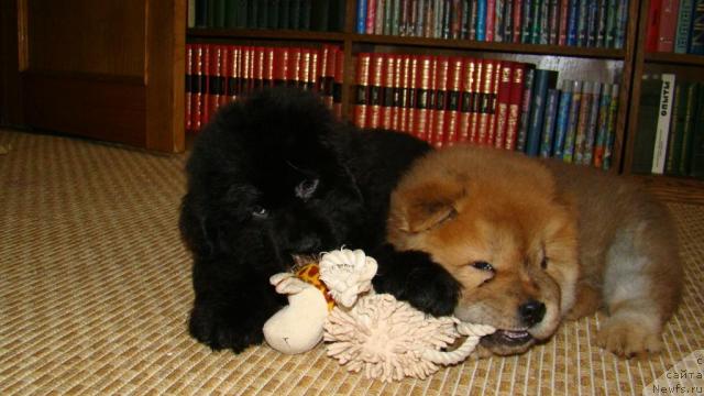 Фотография № 22507