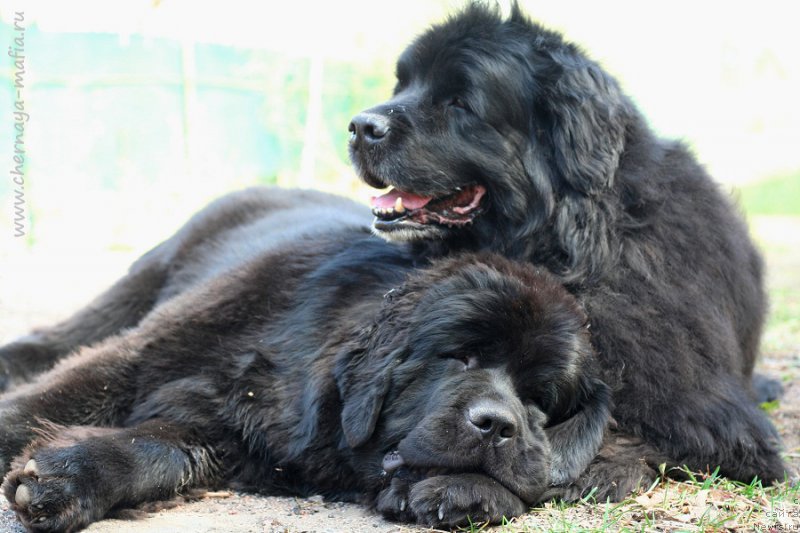 Фотография № 225096