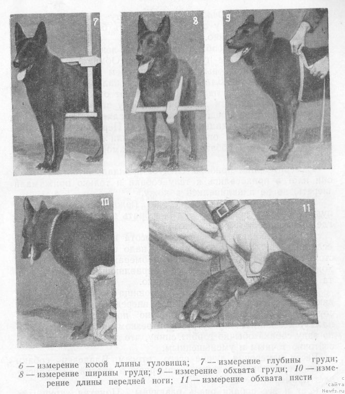 Фотография № 225097