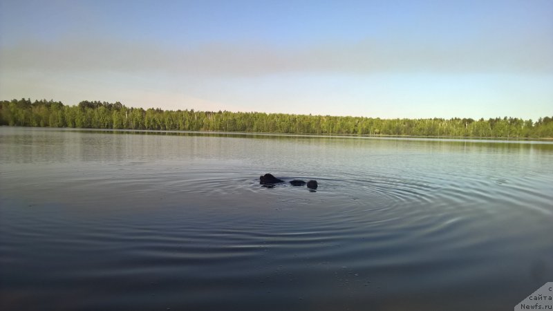 Фотография № 225100