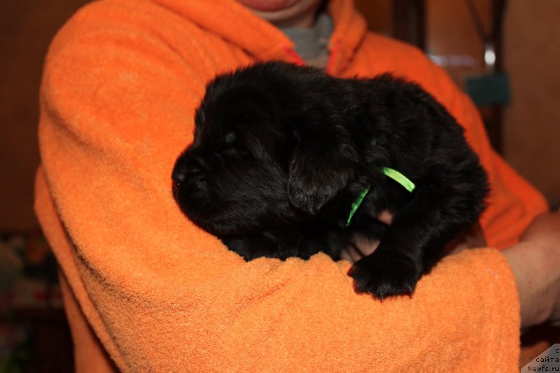 Фотография № 225109