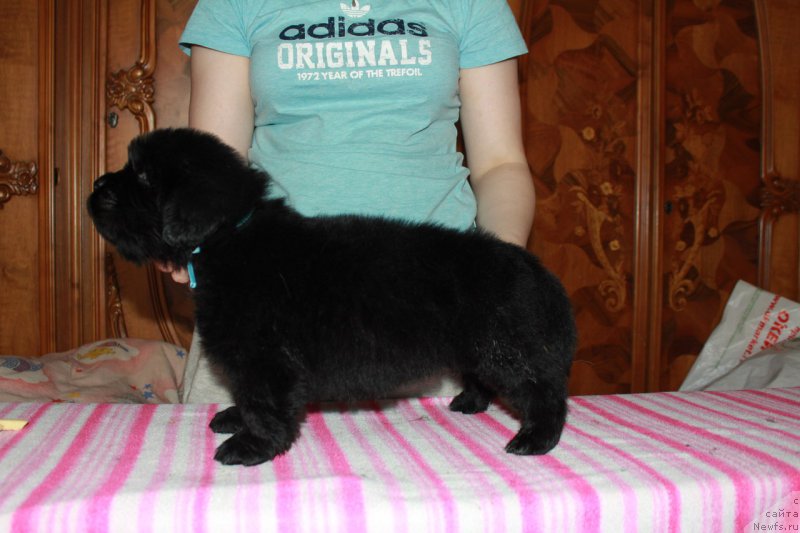 Фотография № 225113