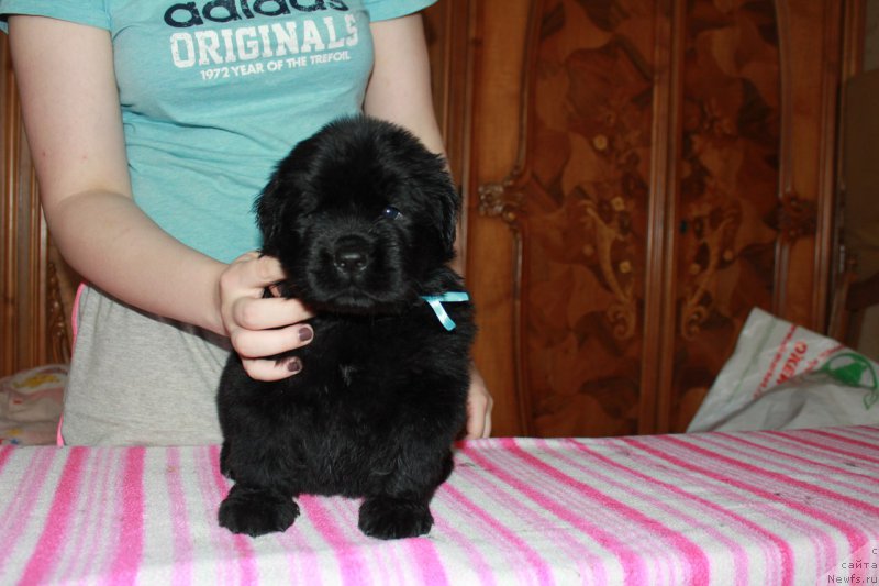 Фотография № 225114