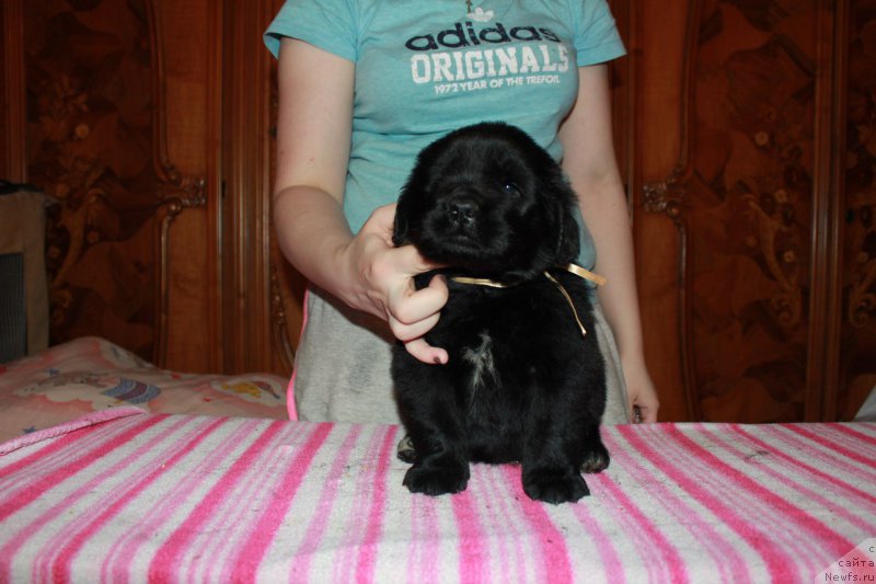 Фотография № 225117