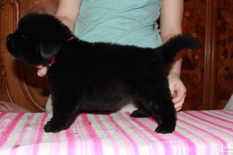 Фотография № 225125