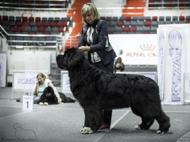 Фотография № 225129