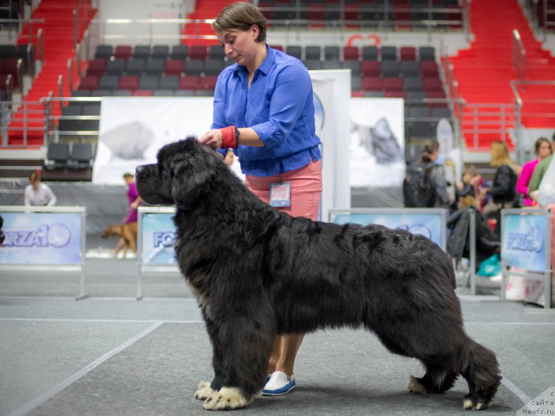 Фотография № 225130