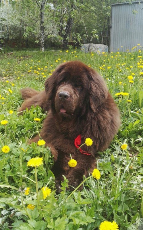 Фотография № 225133