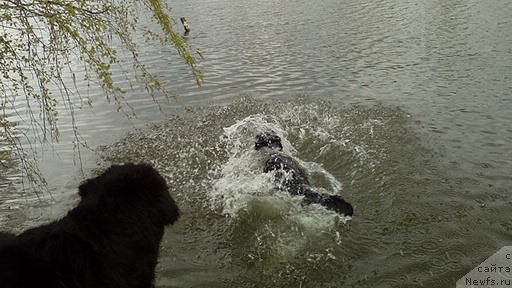 Фотография № 225137