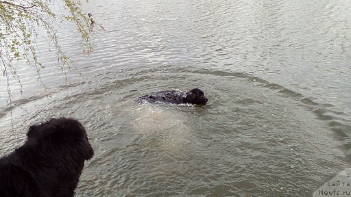 Фотография № 225138