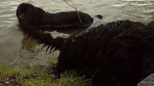 Фотография № 225139