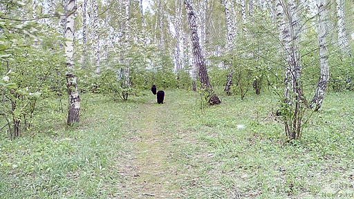 Фотография № 225140