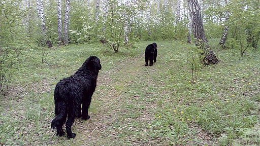 Фотография № 225141