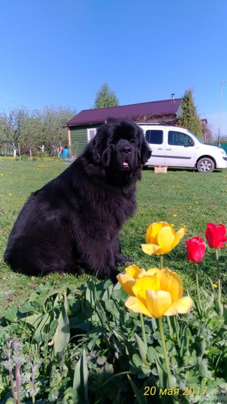 Фотография № 225143