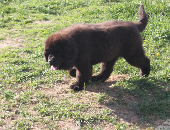 Фотография № 225164