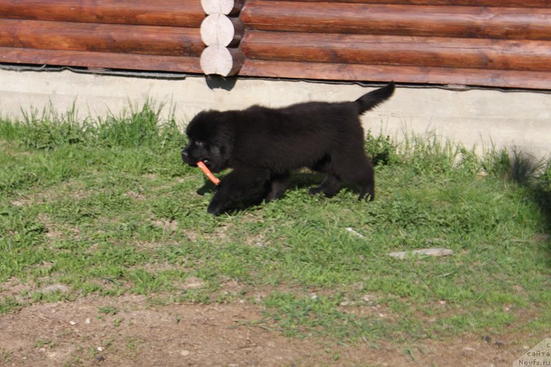 Фотография № 225165