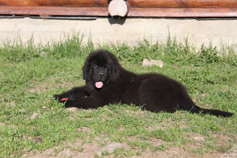 Фотография № 225166