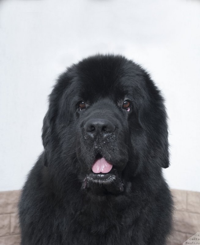 Фотография № 225170