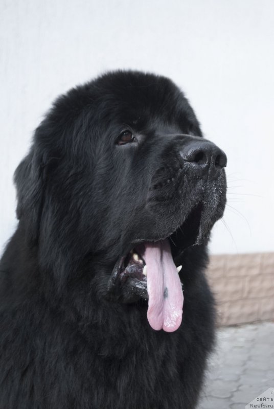 Фотография № 225173