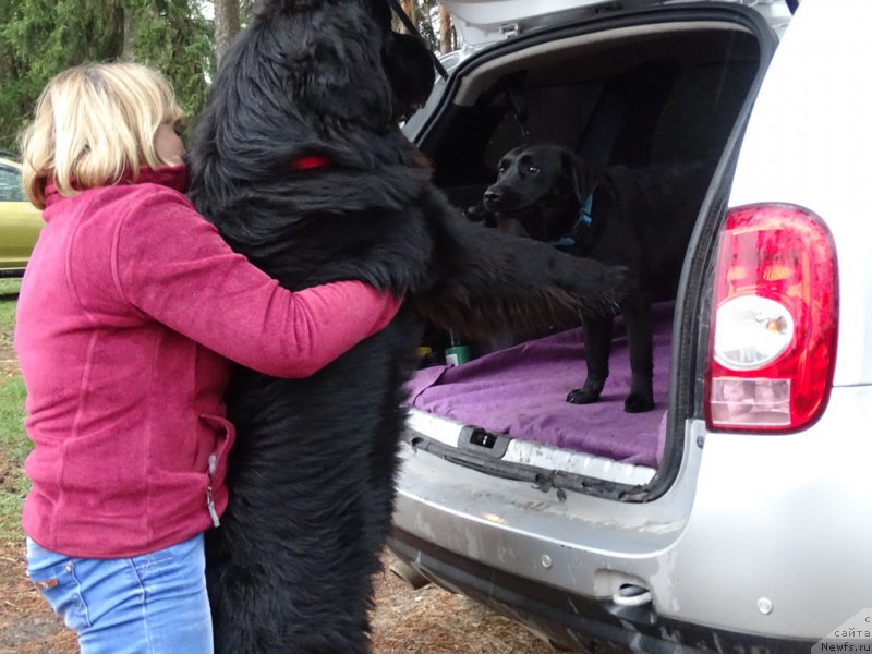 Фотография № 225194