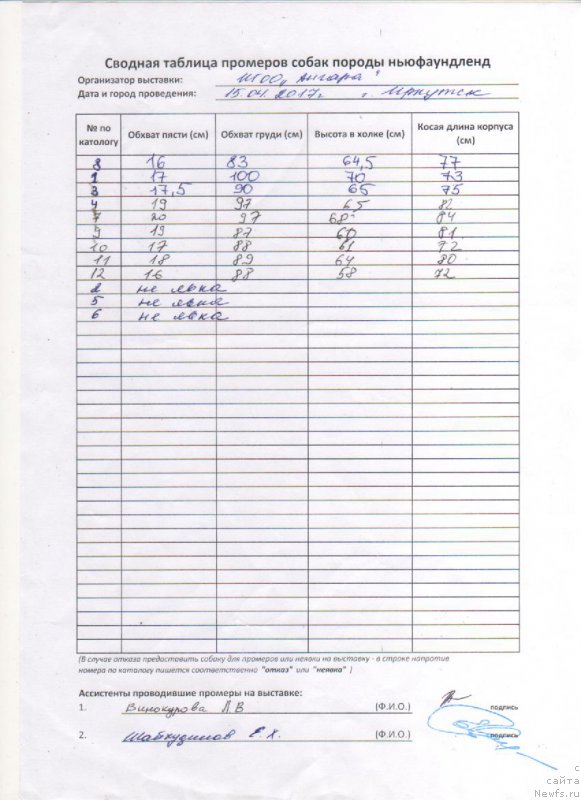 Фотография № 225197