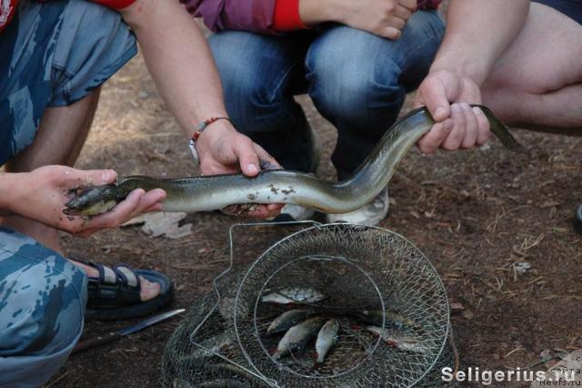 Фотография № 22520