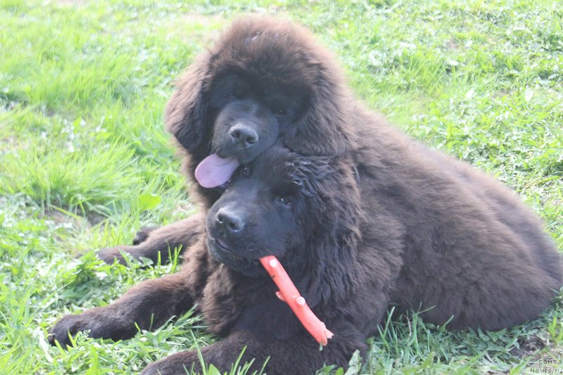 Фотография № 225207