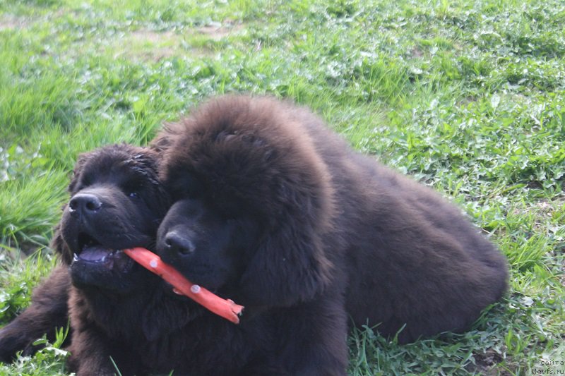 Фотография № 225209