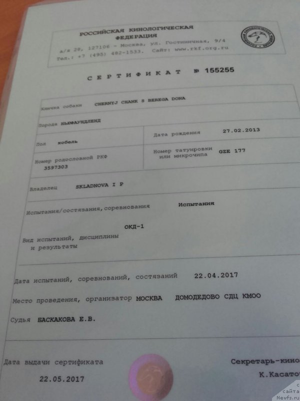 Фотография № 225215