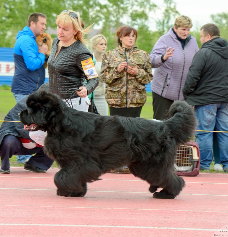 Фотография № 225217