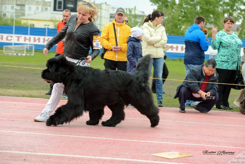 Фотография № 225218