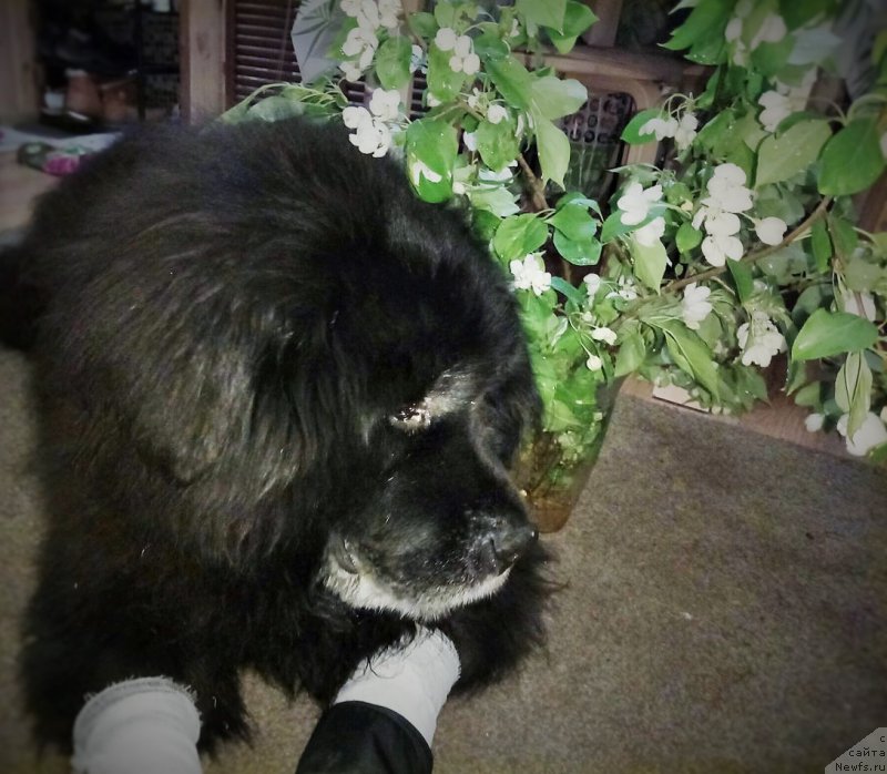 Фотография № 225226