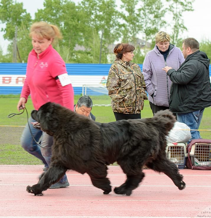 Фотография № 225241