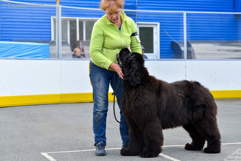 Фотография № 225243