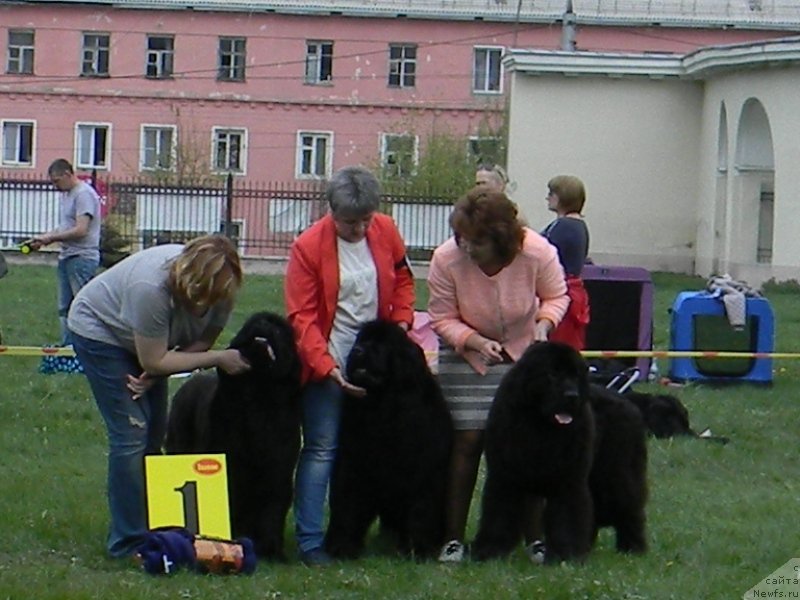 Фотография № 225244